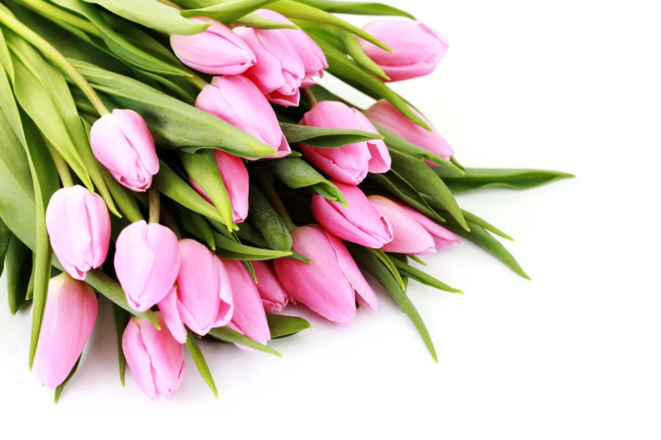 тлп 9050.webp