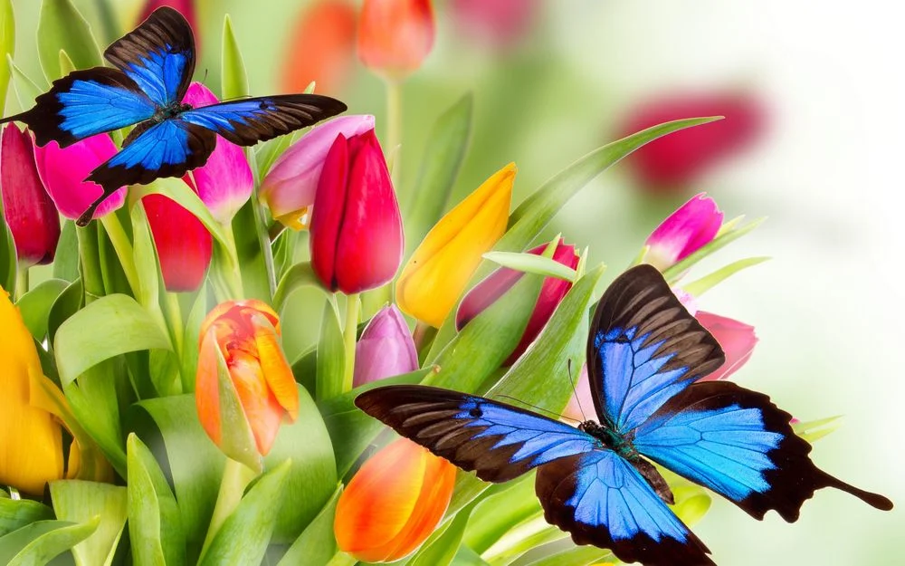 tmb_100472_5112.webp