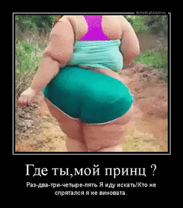 tmb_demotivatorium_ru_gde_timoj_princ__117346.gif