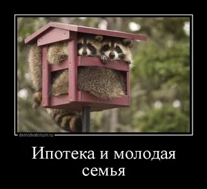 tmb_demotivatorium_ru_ipoteka_i_molodaja_semja_79563.webp