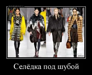 tmb_demotivatorium_ru_seledka_pod_shuboj_69848.webp