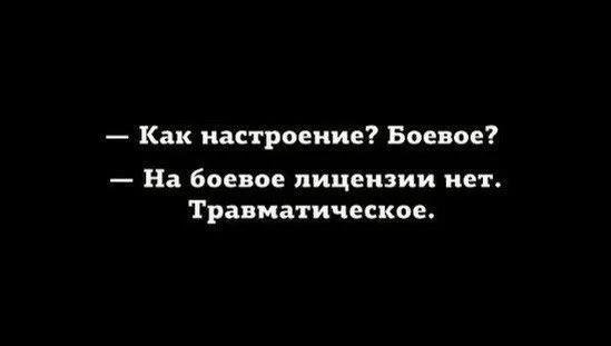 tmp_13578-PvY8TYPOiMw820520291.webp