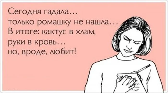 tn.webp