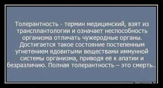 толер.webp