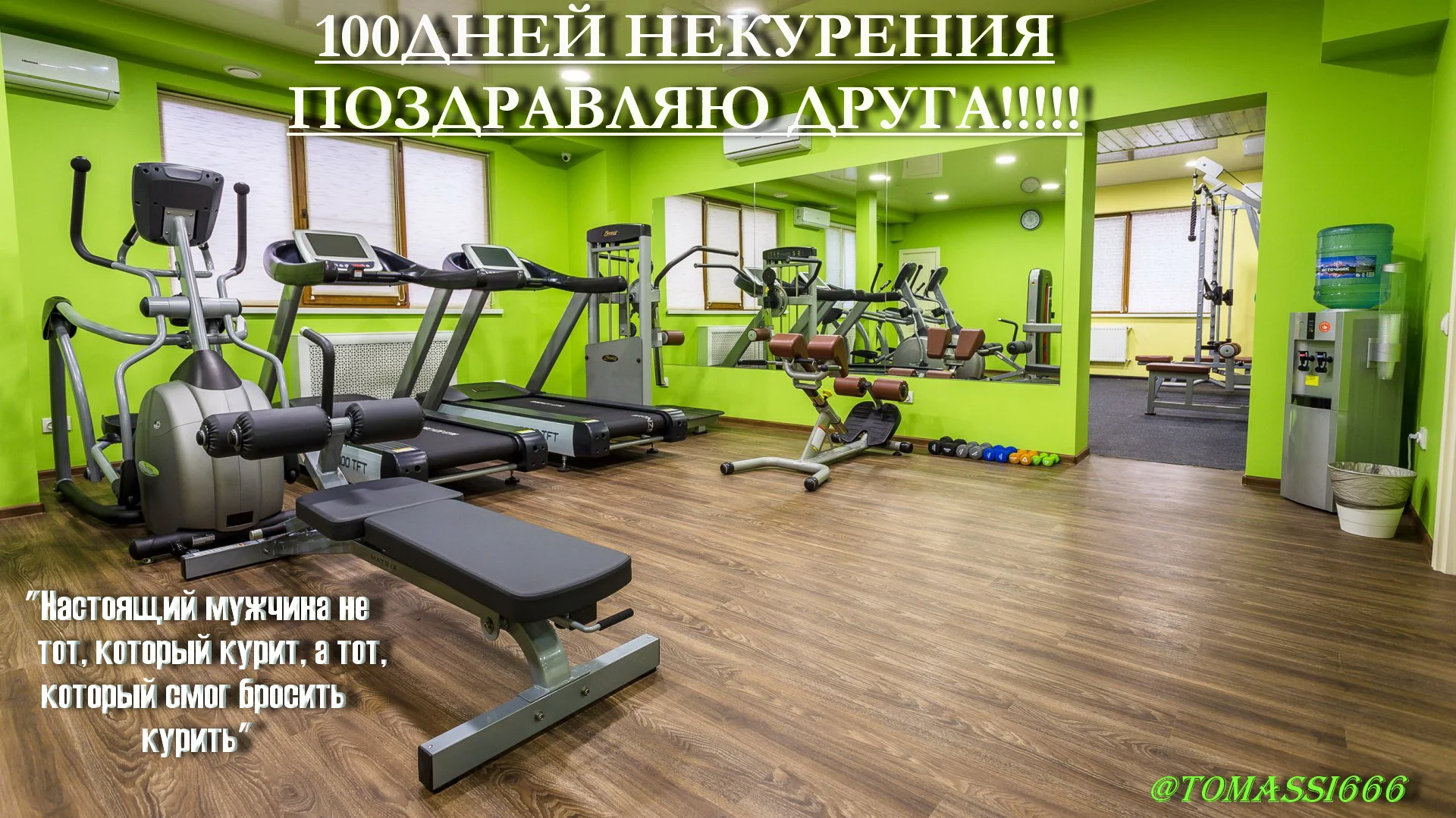 Томас1 100.webp