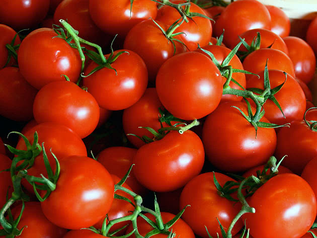 tomatoes2a.jpg