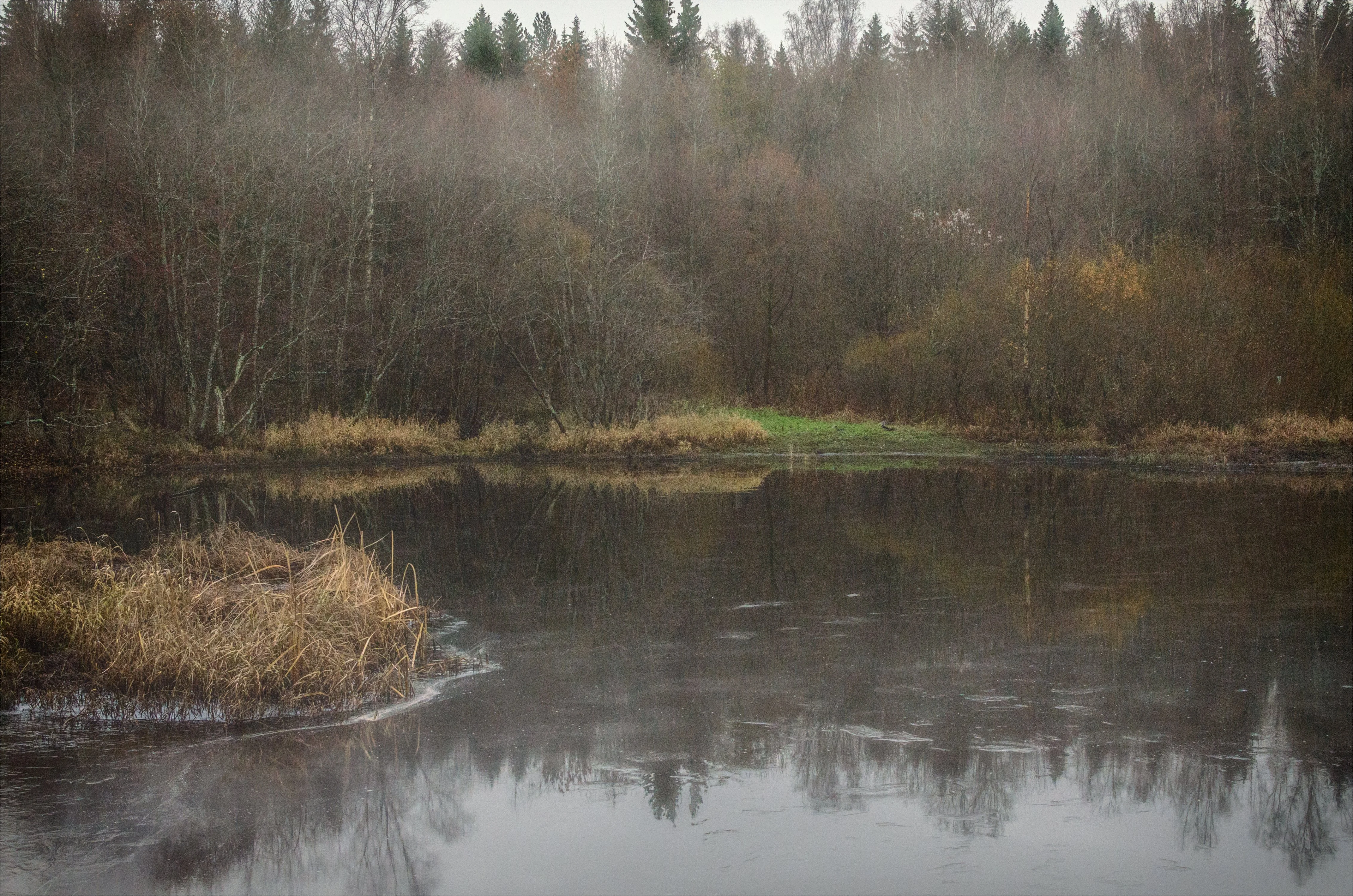 тонкий лед.webp