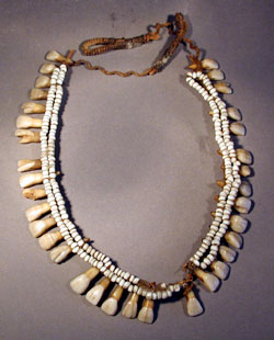 toothnecklace4.jpg