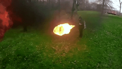 torch.gif
