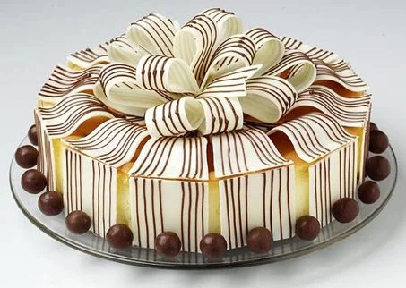 tort_zebra.webp