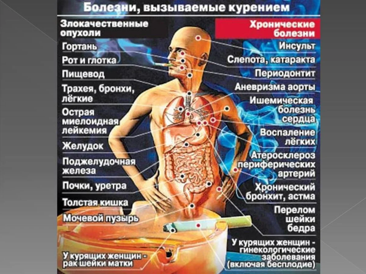 Toxikologia_Страница_08_compressed.webp