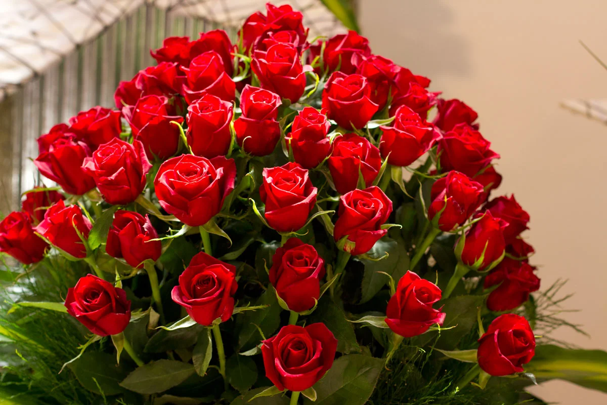 traditional-red-roses-for-valentines-day_216763.webp