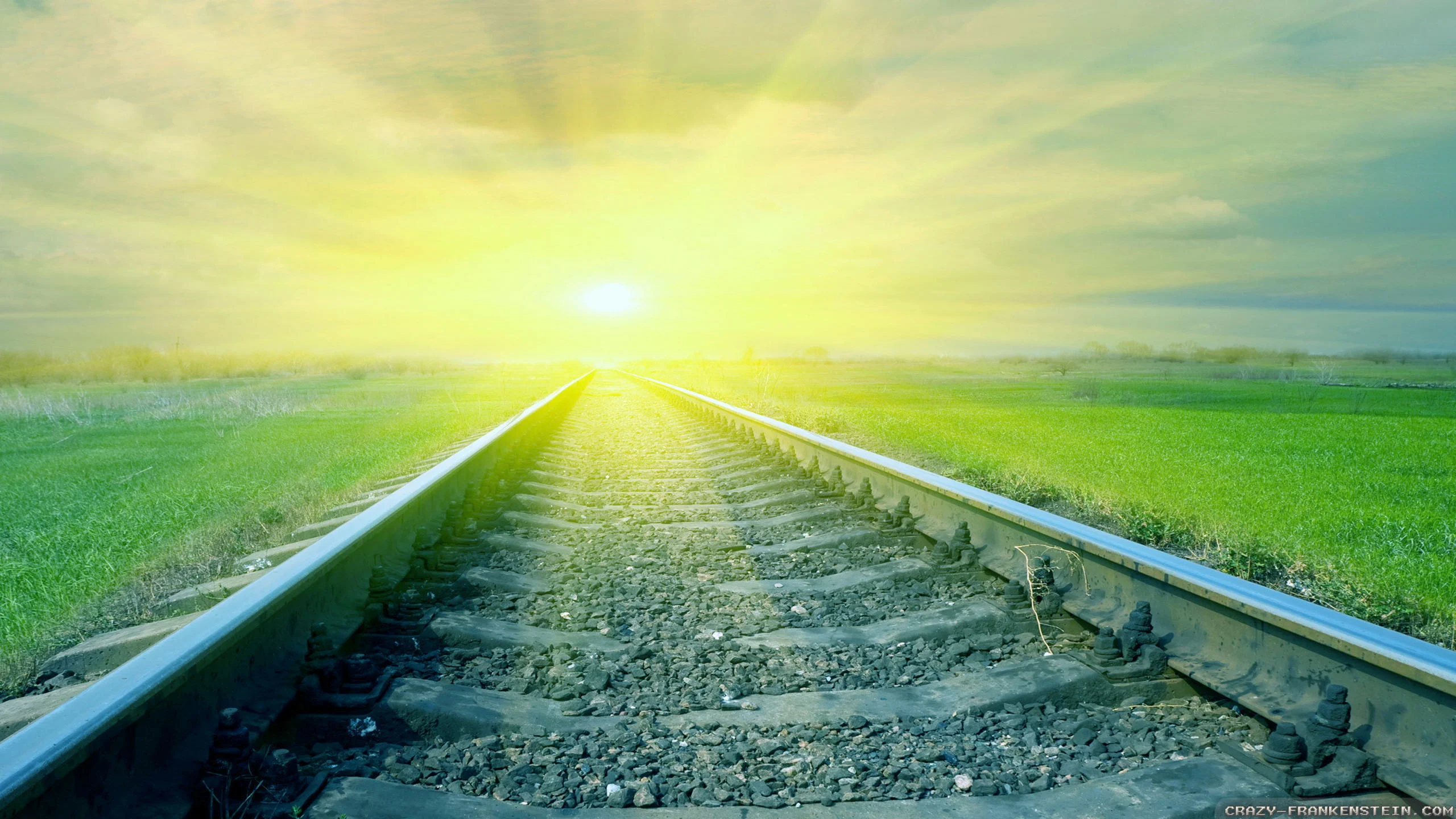 train-path-summer-sun-wallpapers-2560x1440.webp