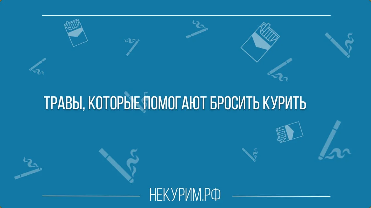 Травы, которые помогают бросить курить.webp