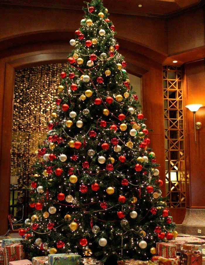 tree_2.webp