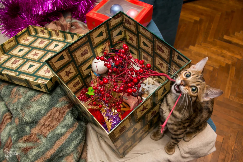 тренировка_09042014-0356.webp