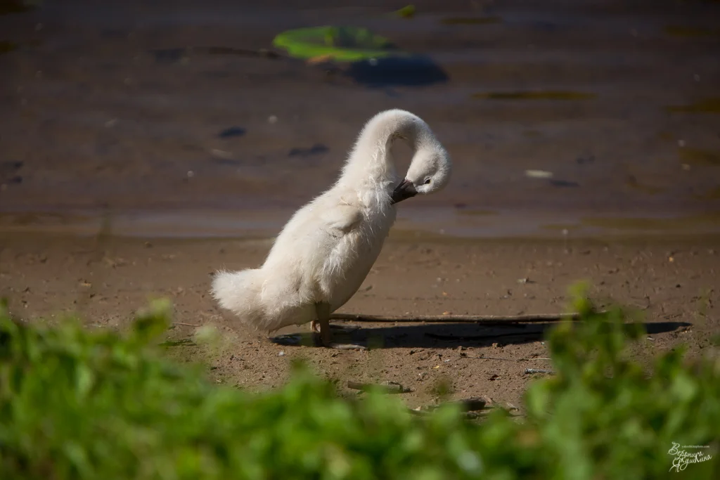 тренировка_09042014-4946.webp
