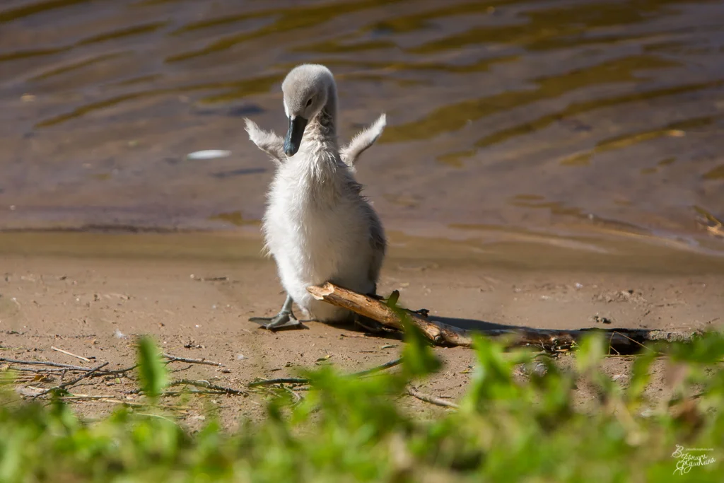 тренировка_09042014-5028.webp