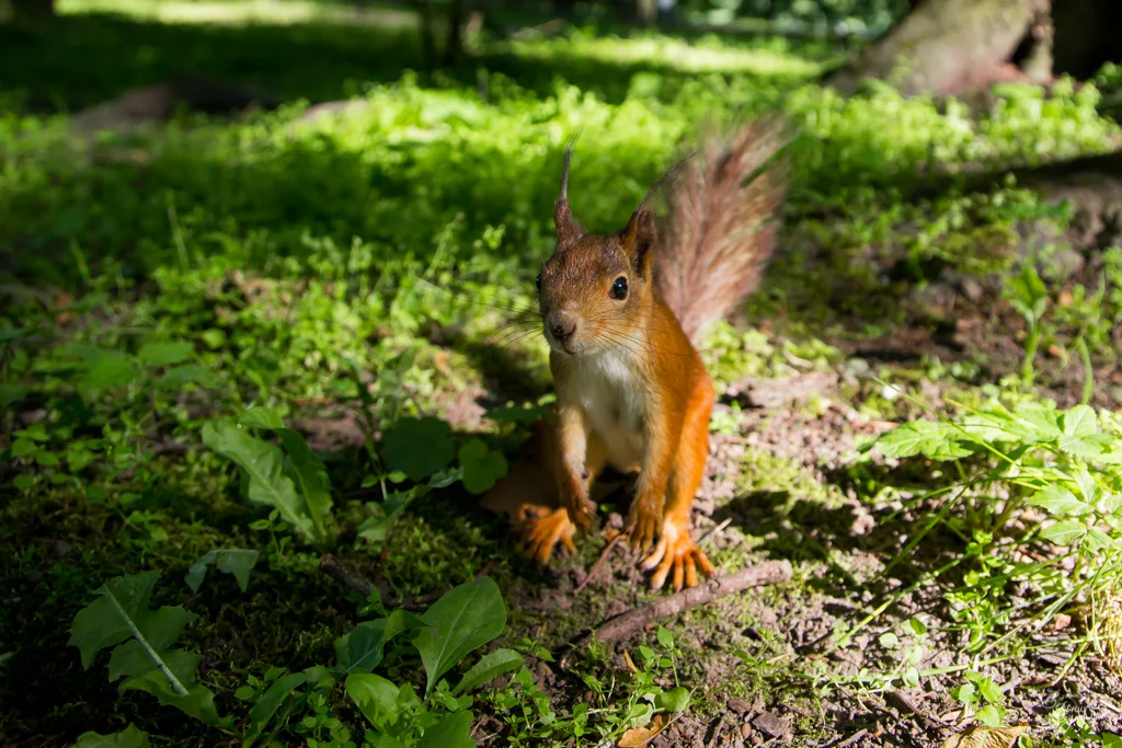 тренировка_09042014-5099.webp