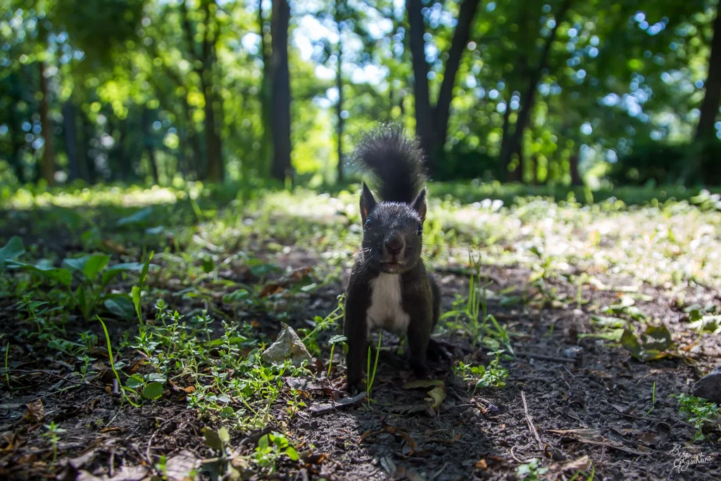тренировка_09042014-5119.webp