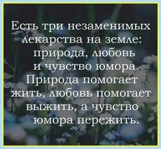 три важно.webp