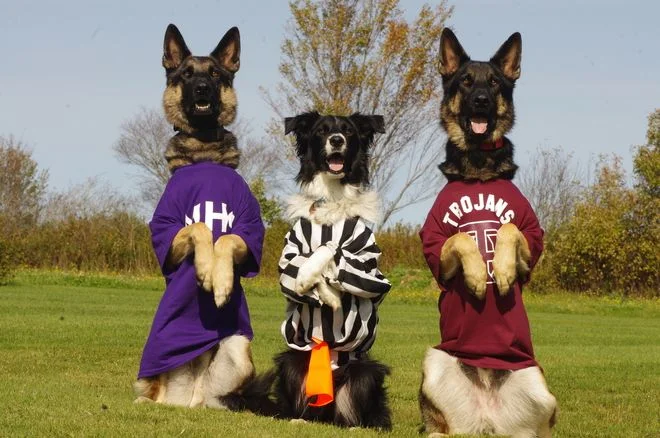 трое из ларца.webp