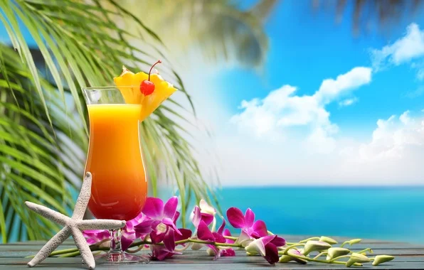 tropical-drink-fresh-fruit-7293.webp