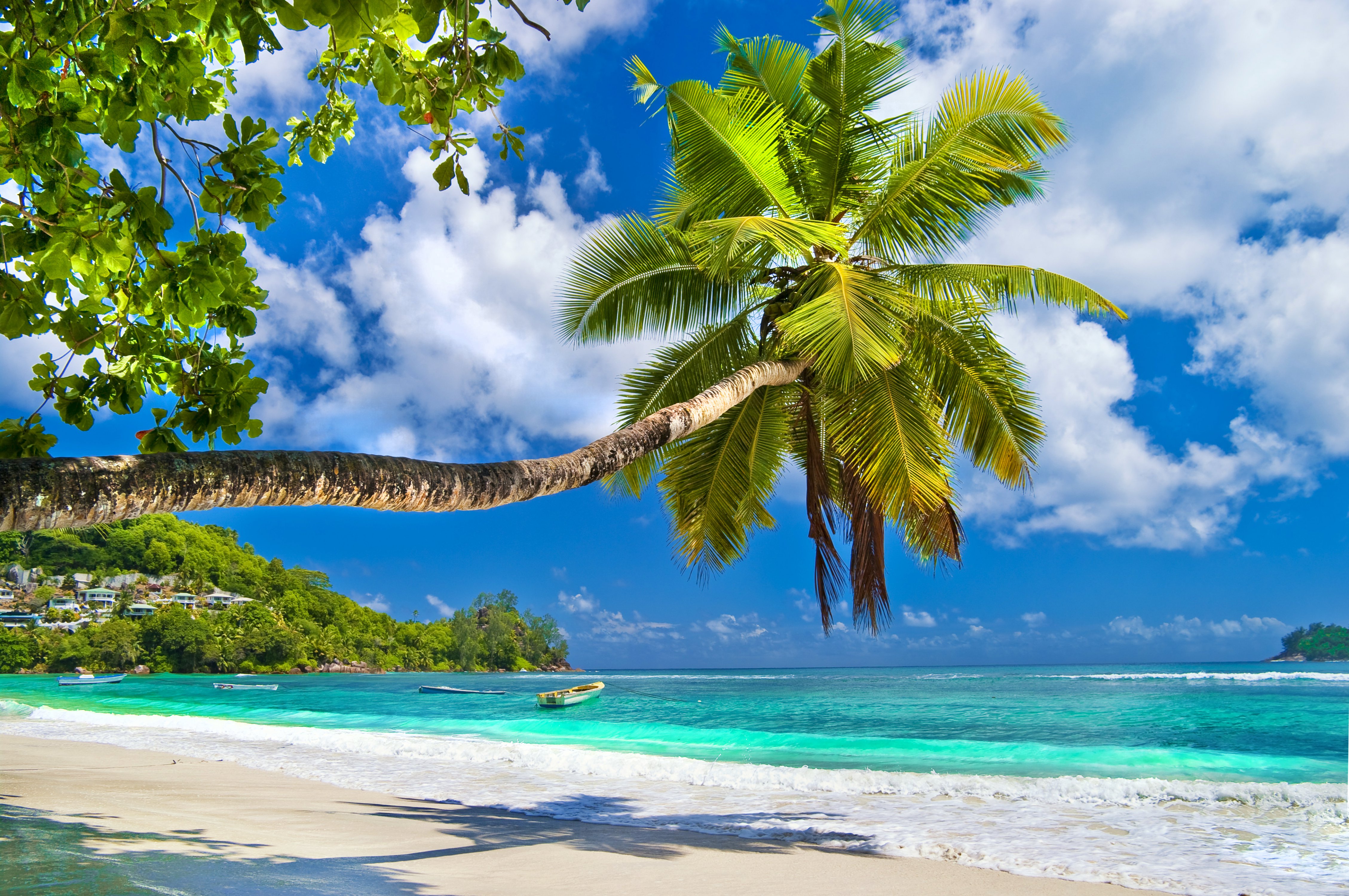 tropical-islands-3.jpg