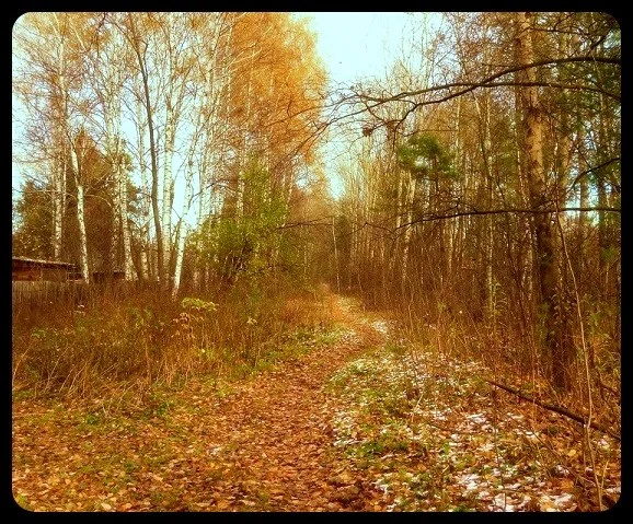 тропинка вдоль ж.д._edorig.webp