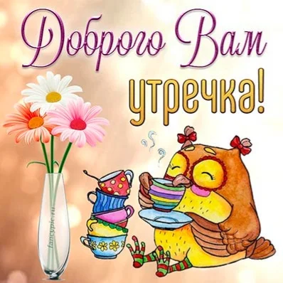 trumb-pic-102027.webp