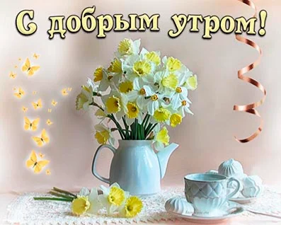 trumb-pic-102040.webp