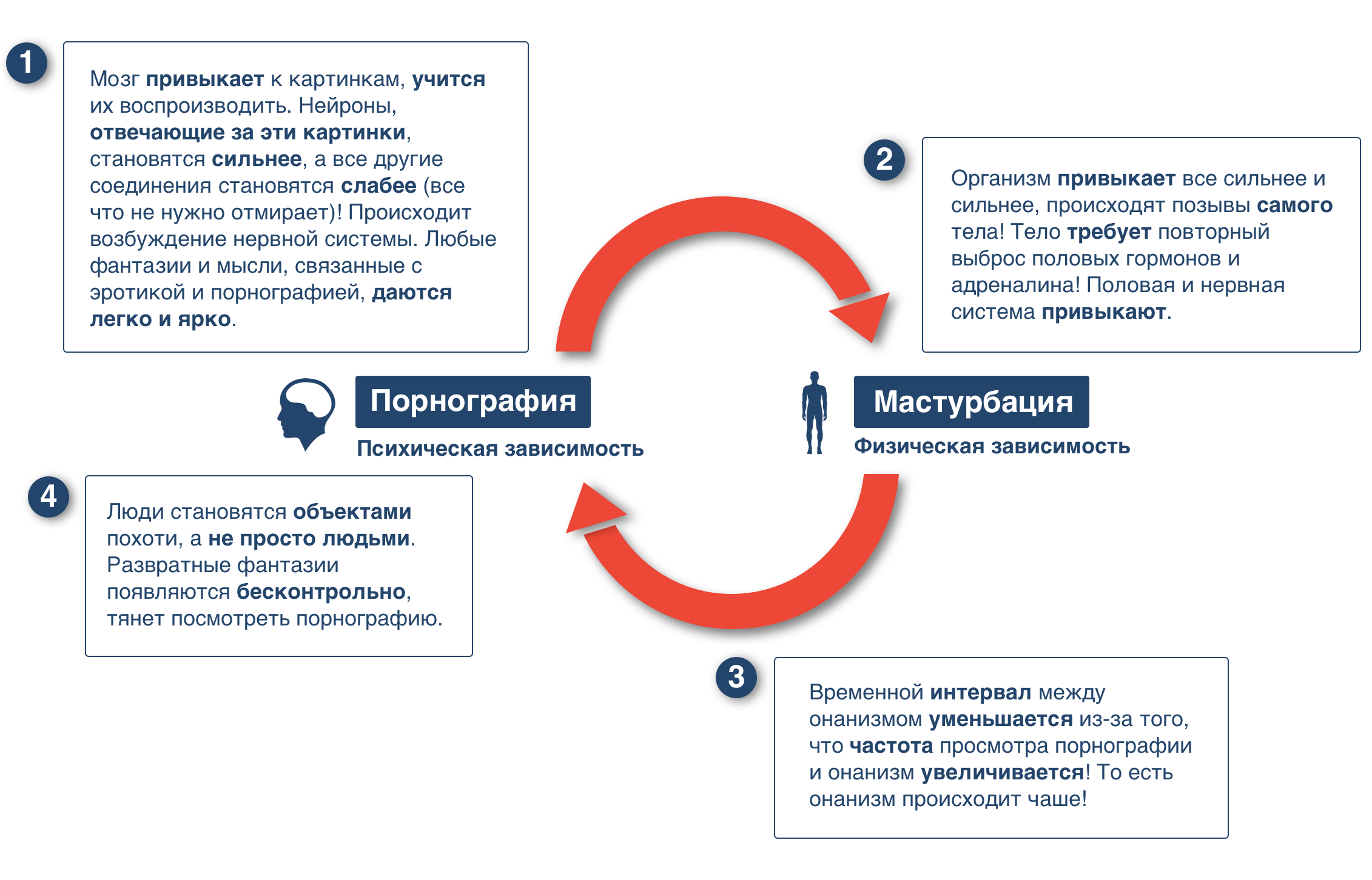 TSikl-zavisimosti-min.png