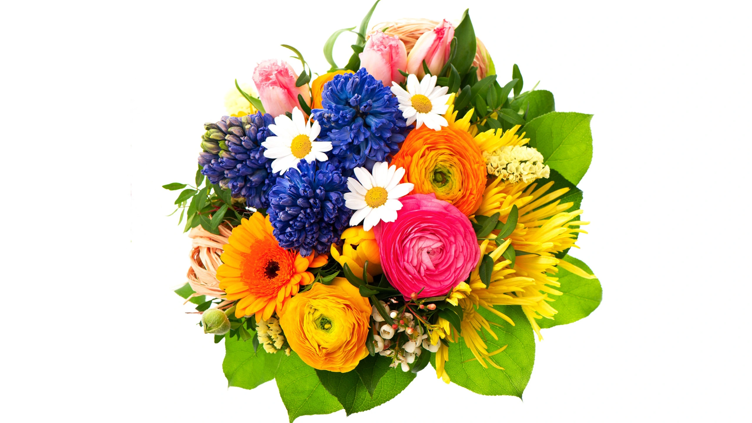 tsvety-buket-gerbery-liutiki-giatsinty-romashki-tiulpany-bel.webp
