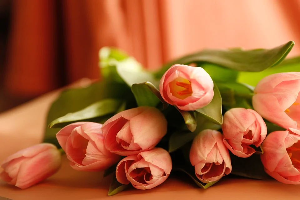 tulips-4113019_960_720.webp