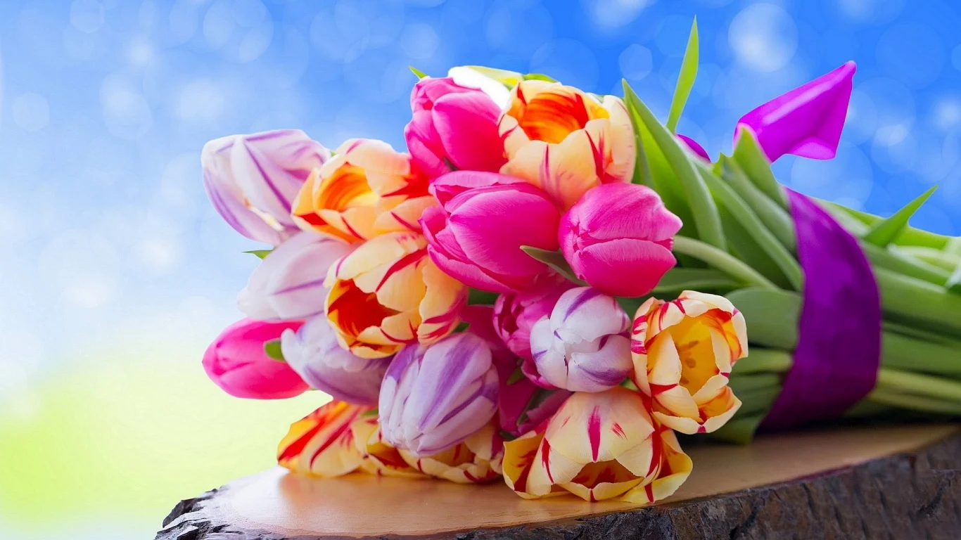 tulips-bouquet-hd-1366x768.webp