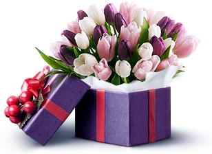 tulips.webp