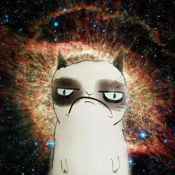 tumblr_mi9jqplIxP1rifmvio1_500 (1).webp