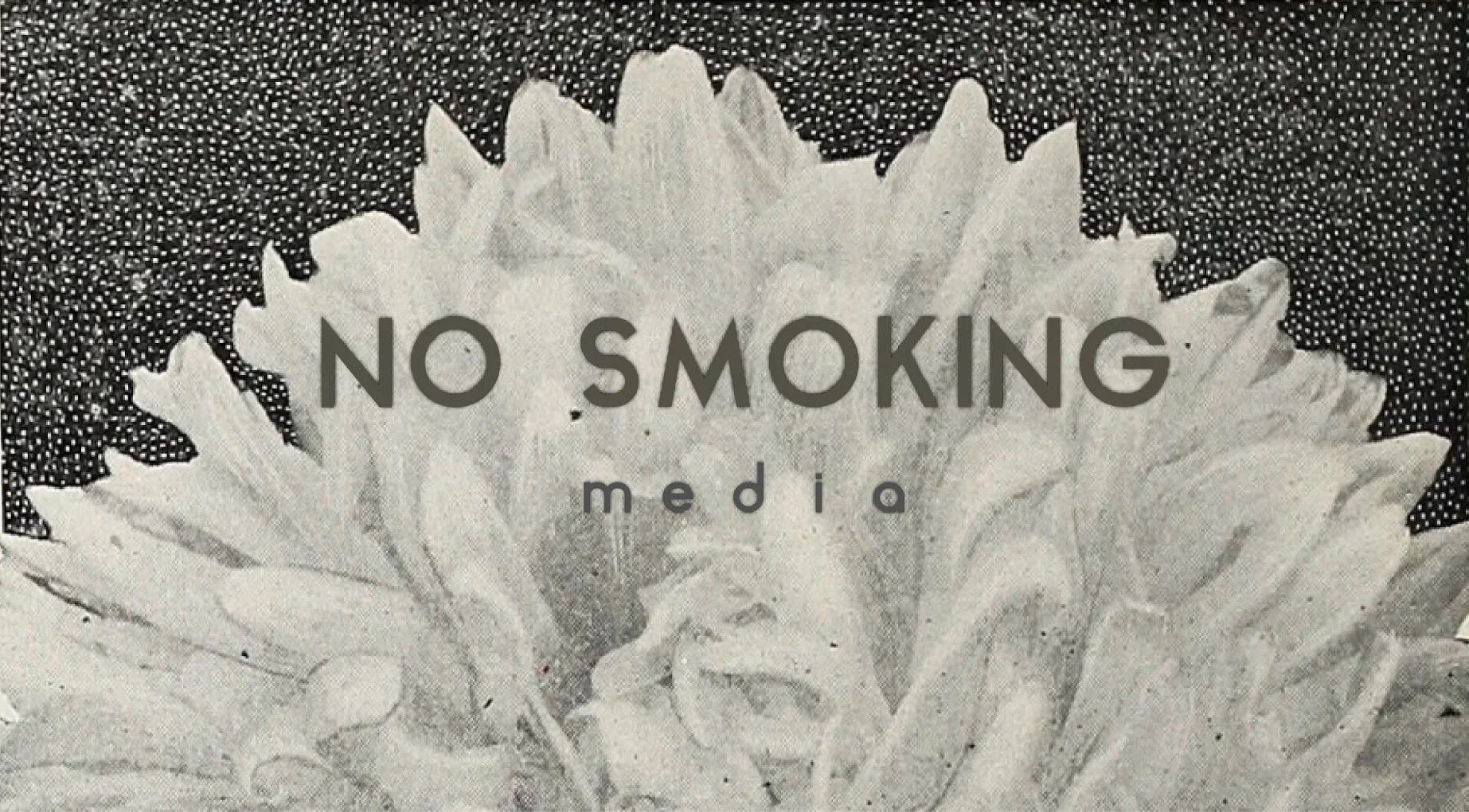 tumblr_static_dmq0nwrrhdwg4g00oswgo4k88.webp