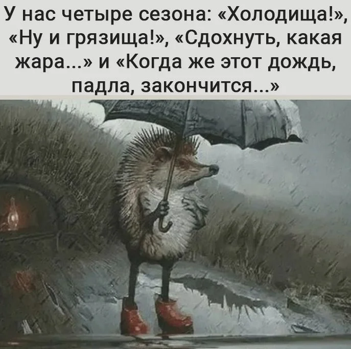 tv8mUN2YHnY (1).webp