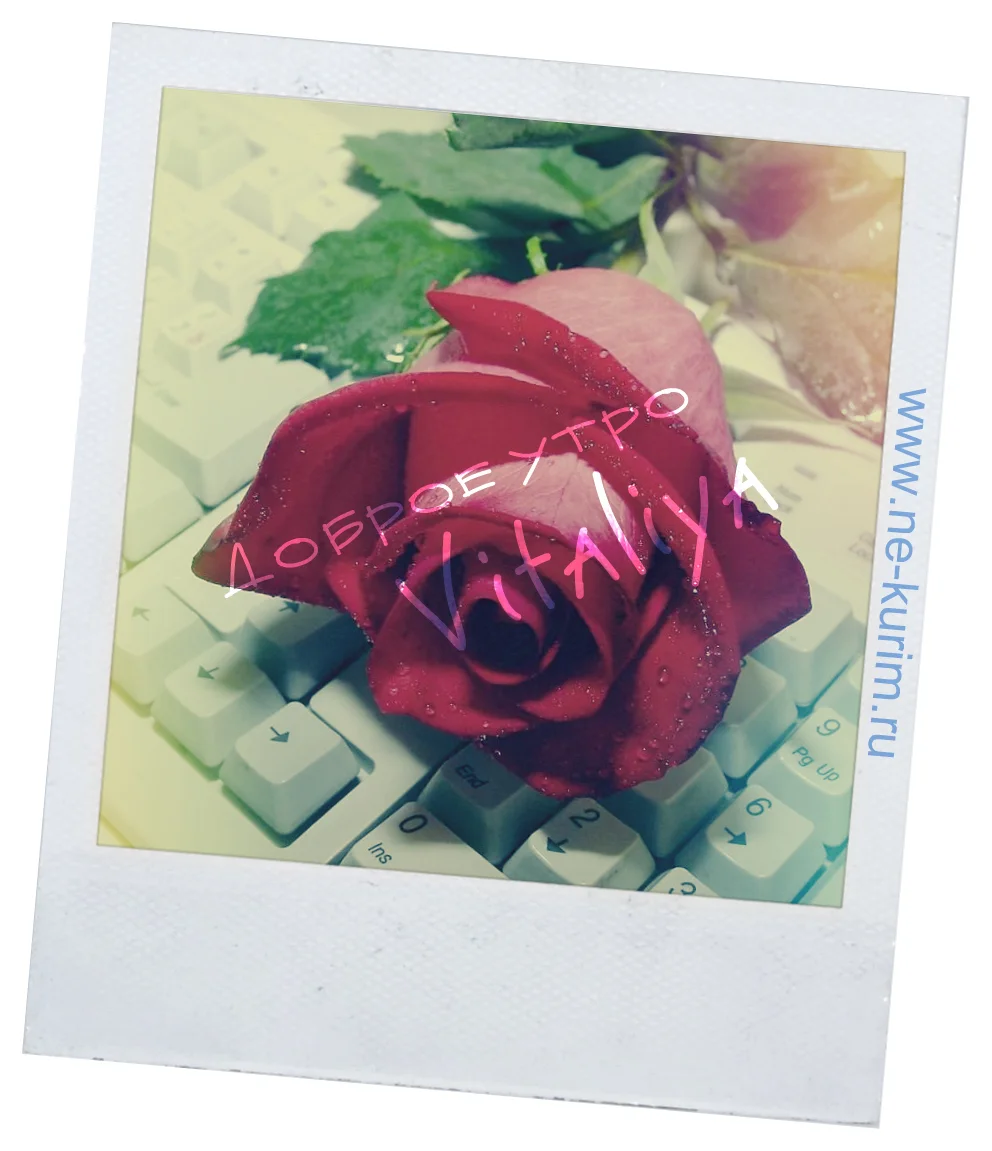 TyYf2Wg5SA.webp