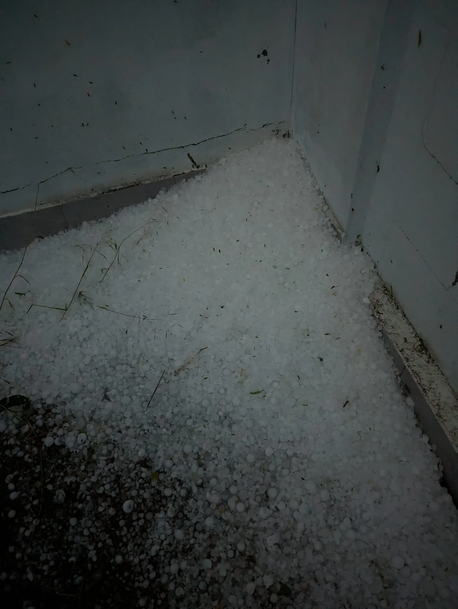 у обуховской 11.06.webp