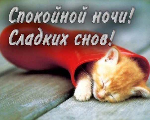 u_13549feae55b1c898e08ae8153c5fb96_800.webp