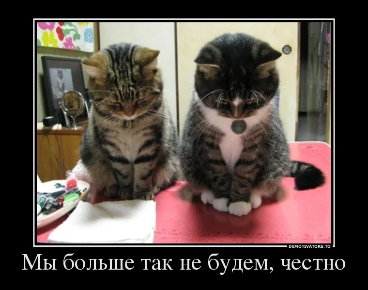 u_19c134dd1e718fb75ef2b9455739c660_800.webp
