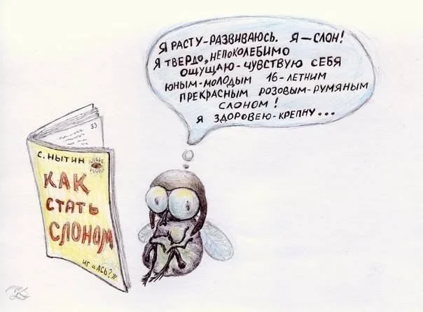 u_bdedf5e70e0764d827c9a59f3acd4297_800.webp