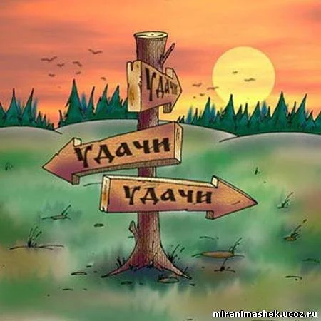 удача.webp