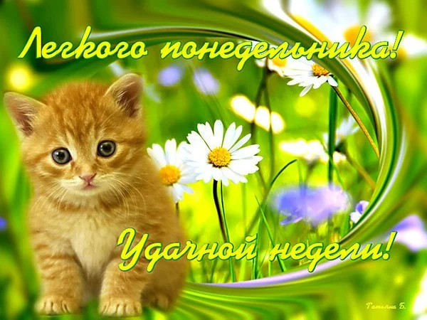 удачной недели 01.webp