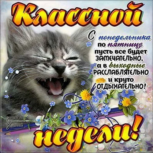 удачной недели 02.webp