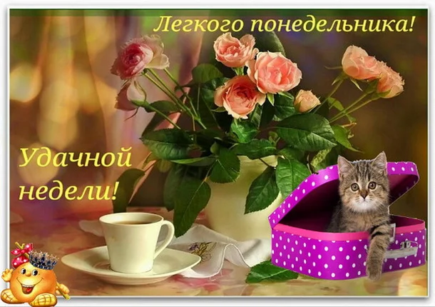 удачной недели 10.webp