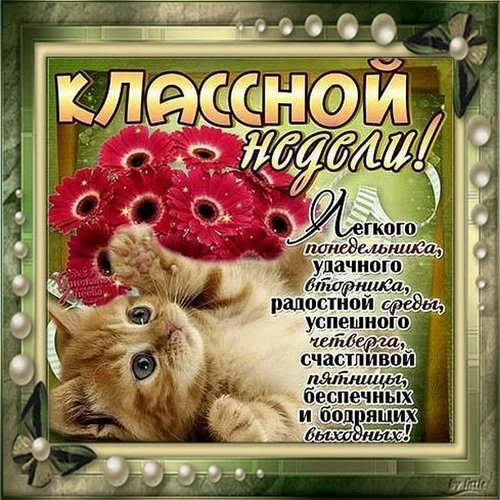 удачной недели 11.webp