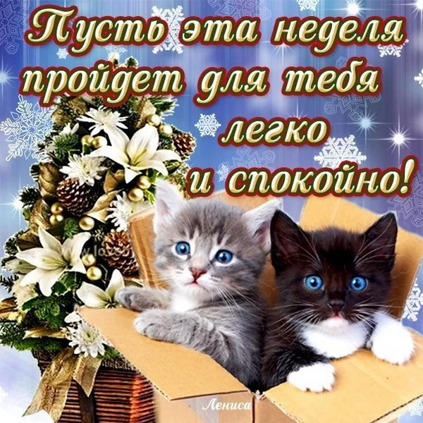 удачной недели 14.webp